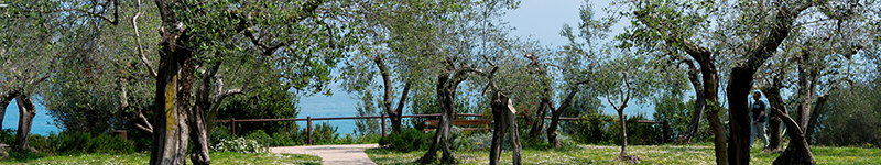 prodotti